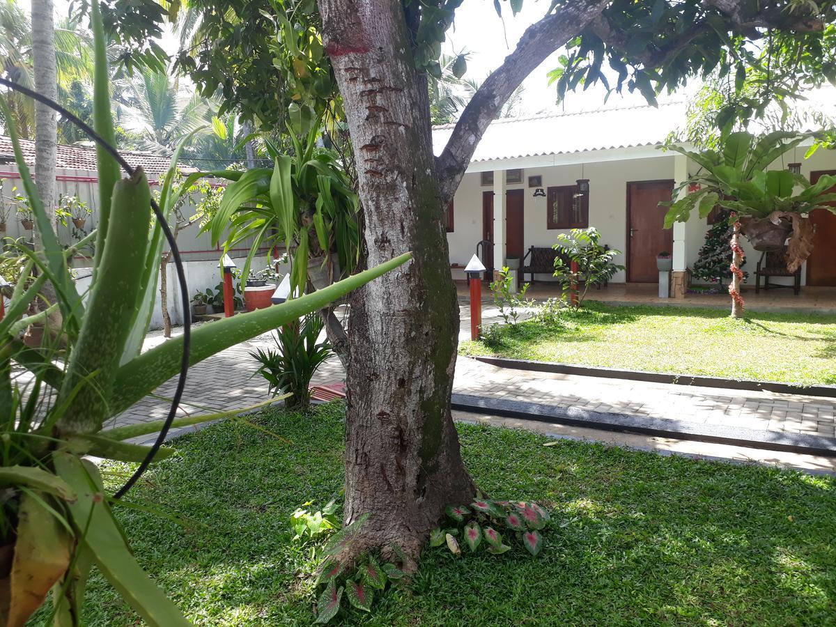 Villa 67 Negombo Exterior photo